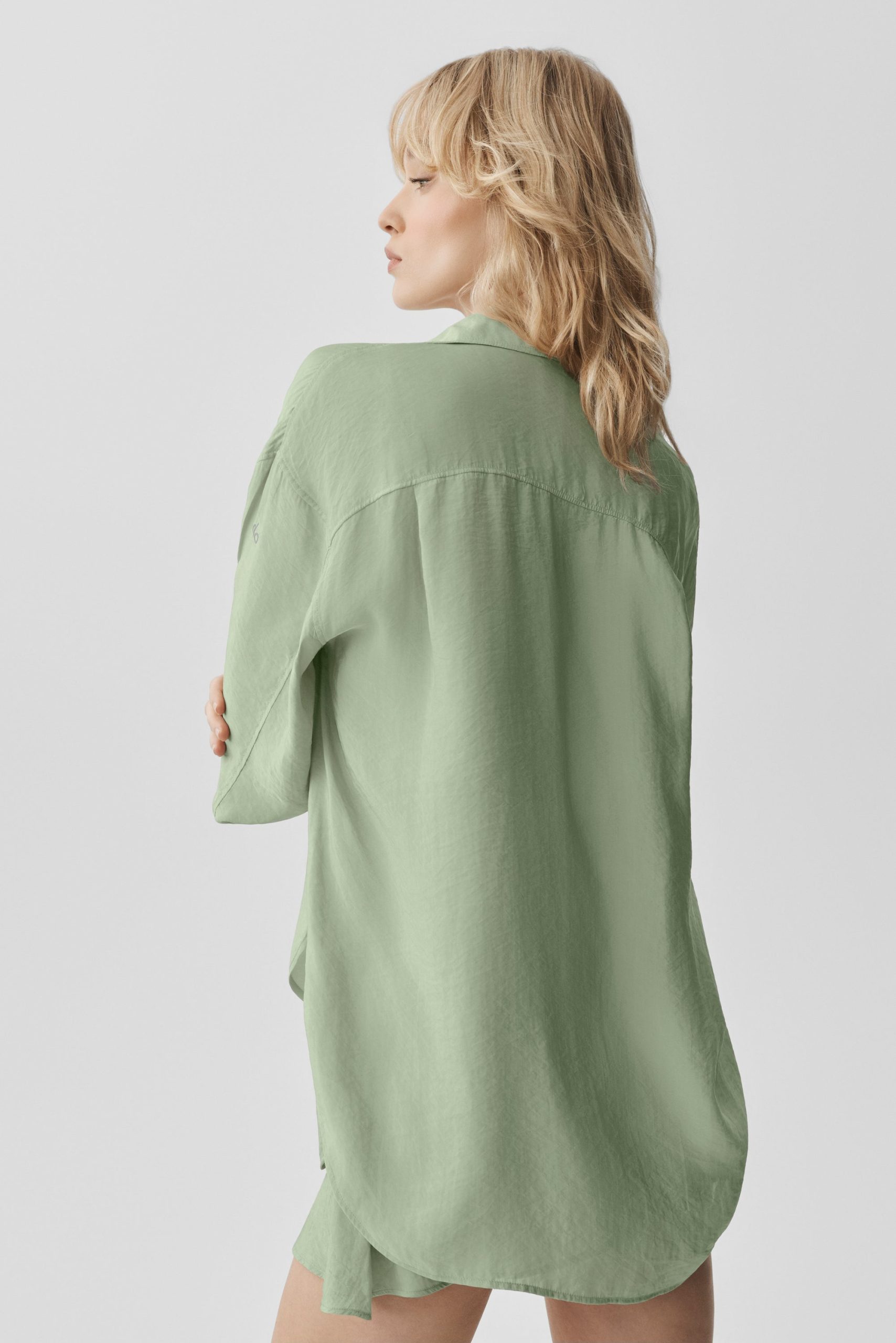 Semi-Sheer Golden Hour Button Down Long Sleeve - Dune Grass - Image 2